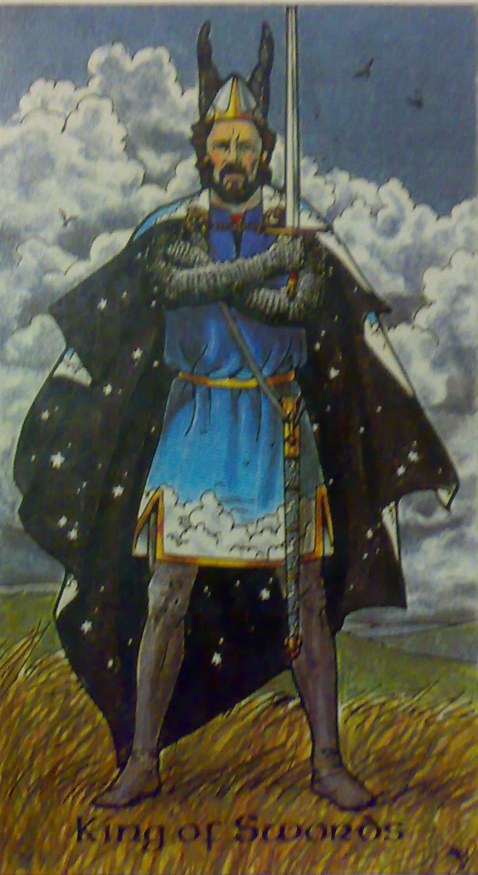 karty, výklad karet, tarot, kartářka, malá arkána, meče, král mečů, nesmiřitelnost, tarot robin wood