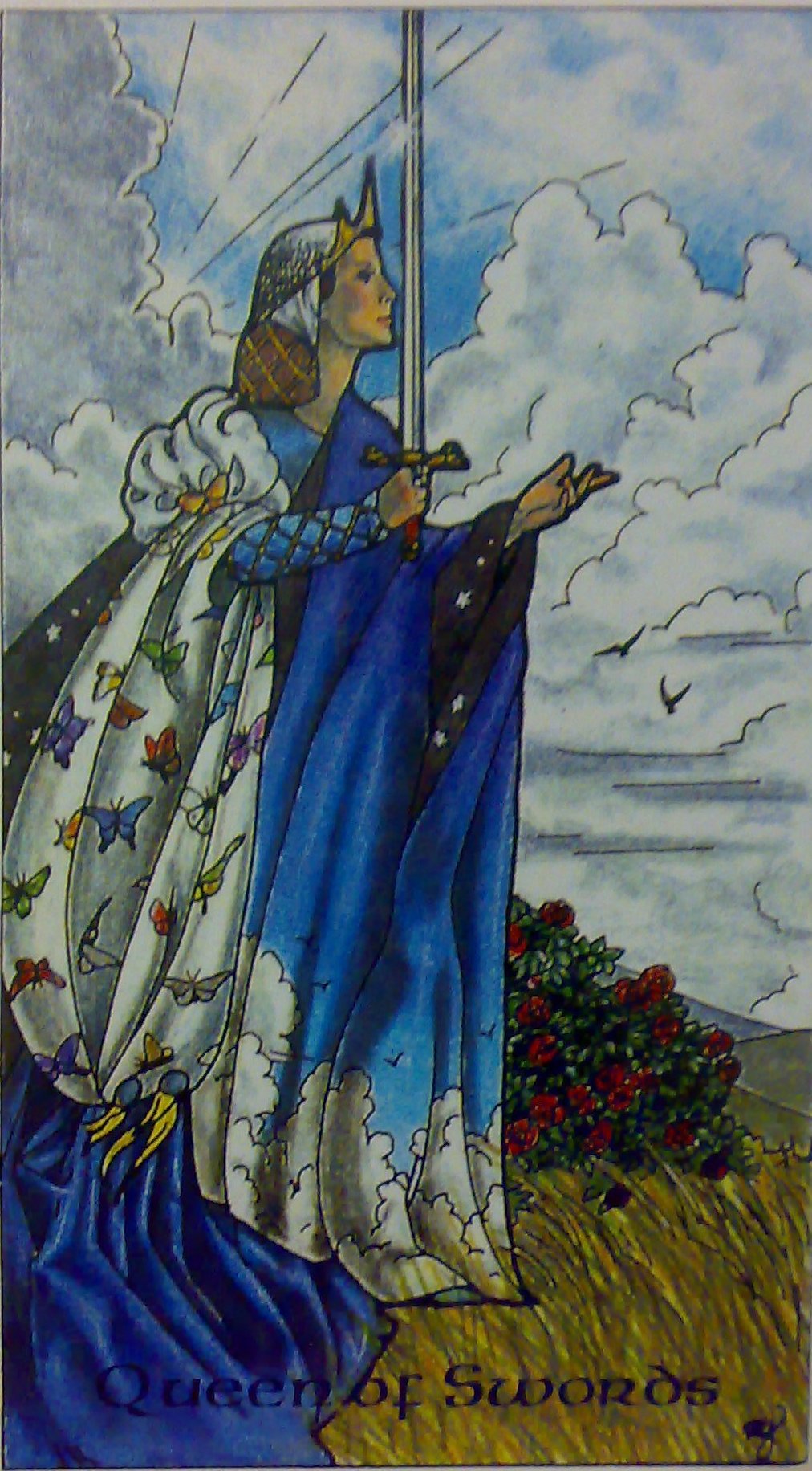 karty, výklad karet, tarot, kartářka, malá arkána, meče, královna mečů, odvaha, odhodlání, tarot robin wood